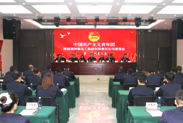 共青團渭化集團公司委員會第一次代表大會勝利召開